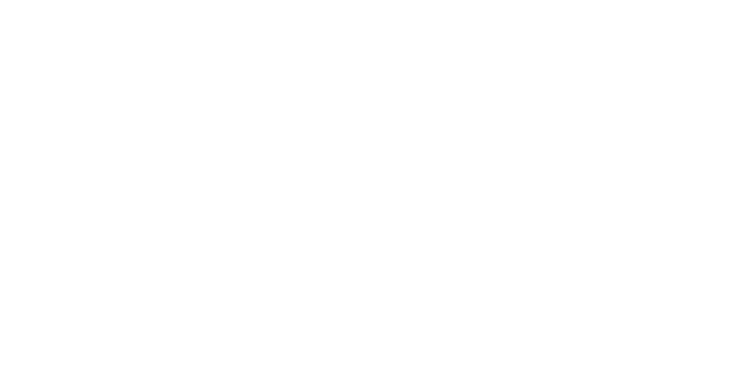 Bahnhof White Logo