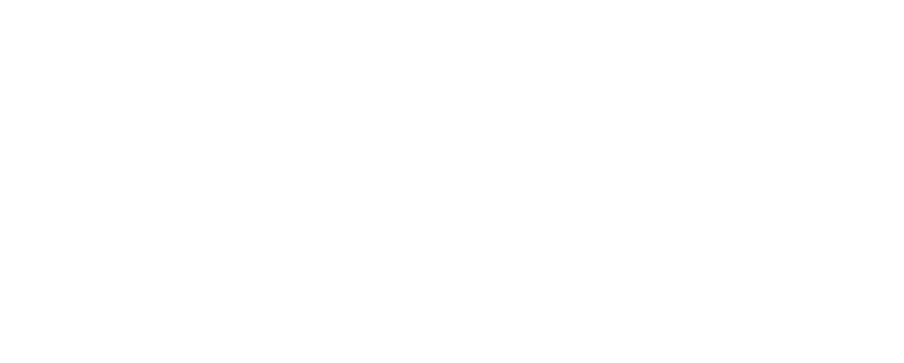 Pionen Logo Vit