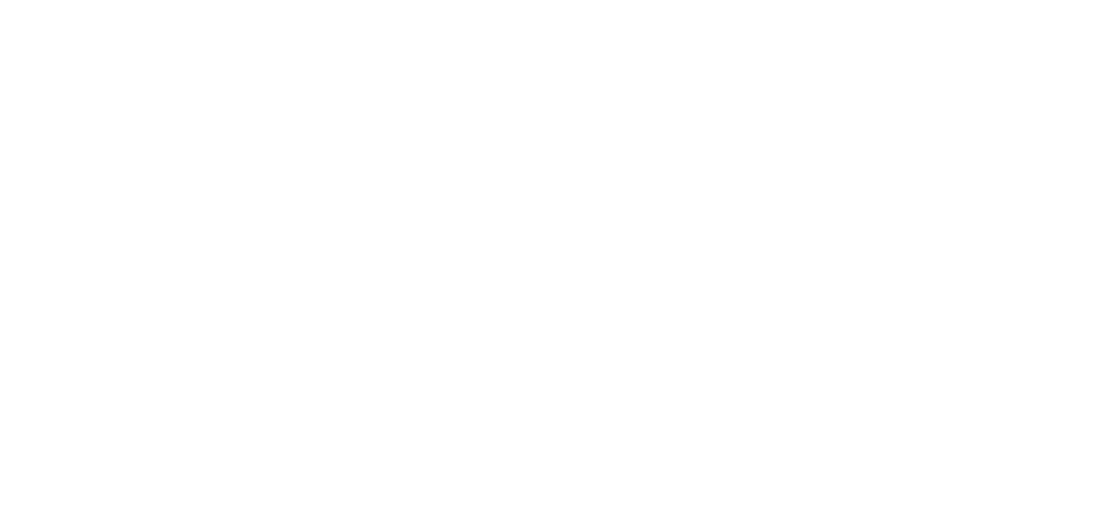 St Erik Logo Vit