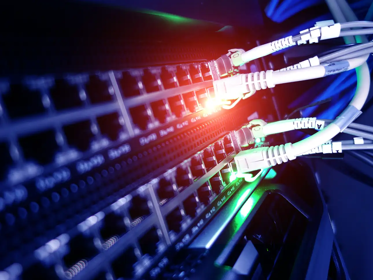 Fiberkablar anslutna till nätverksswitch i datacenter som levererar snabbt och stabilt bredband för företag.